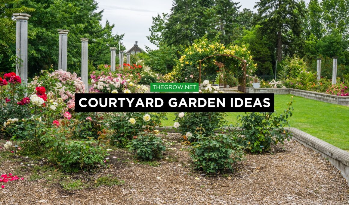 Courtyard Garden Ideas