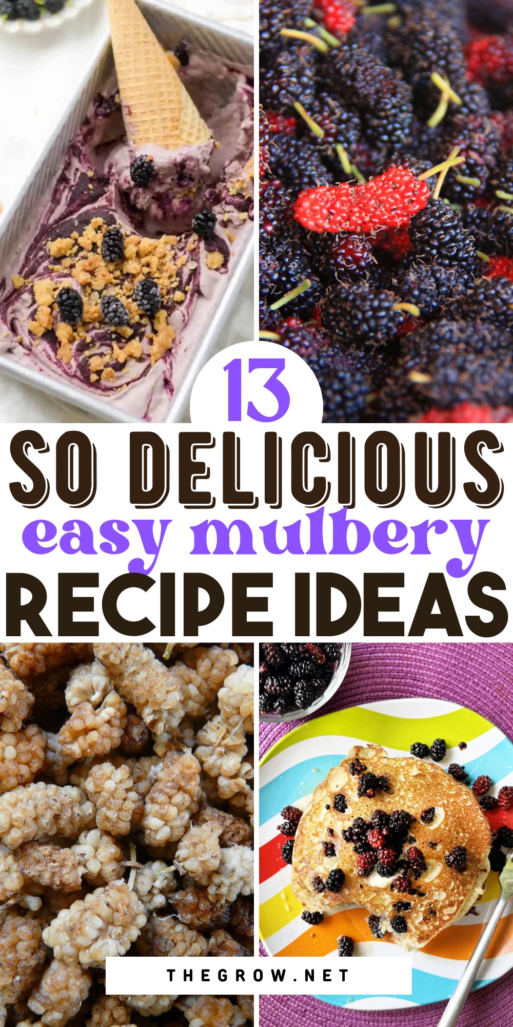 Delicious Mullberry Recipes-pin
