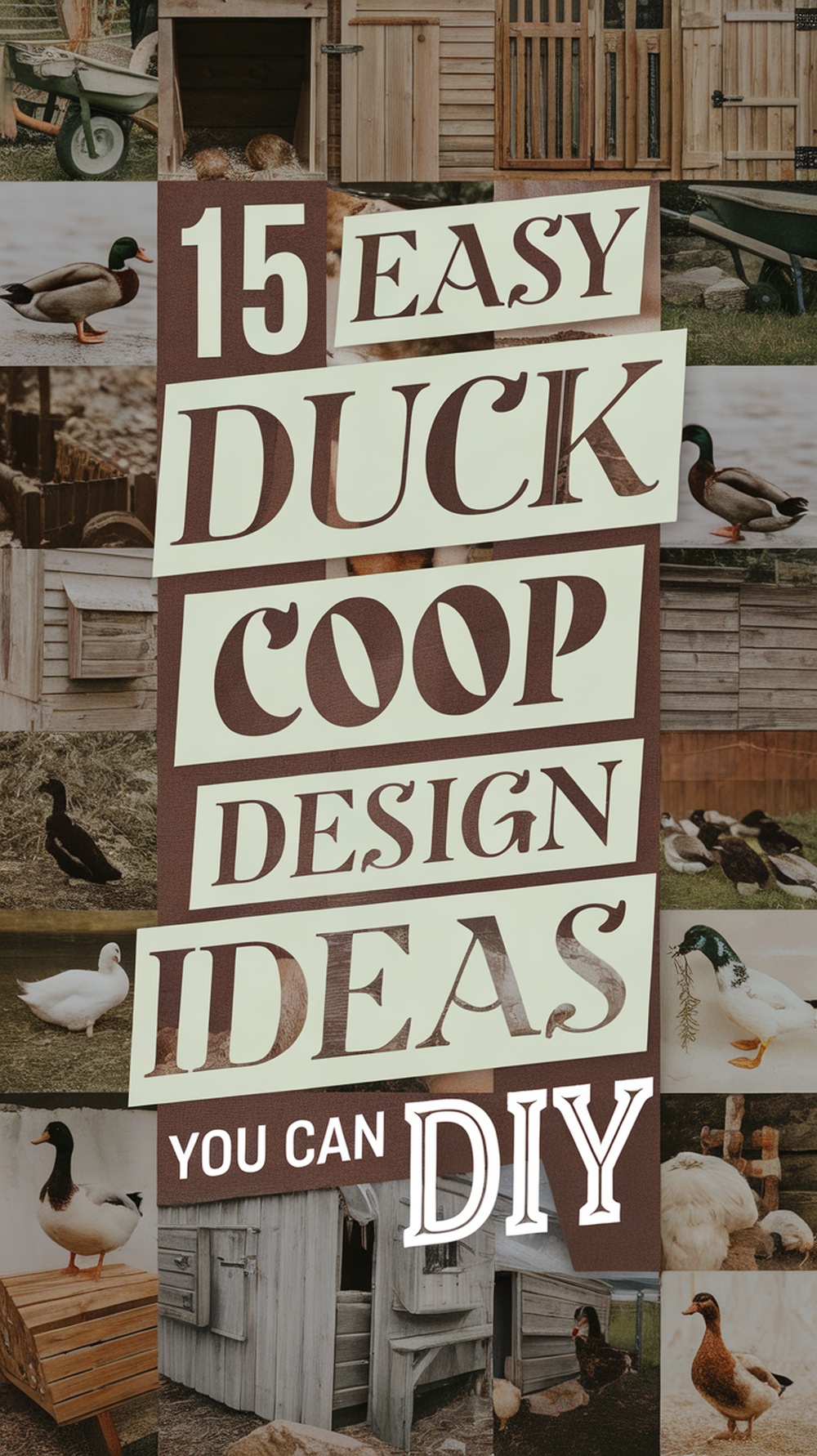 Duck Coop-pin