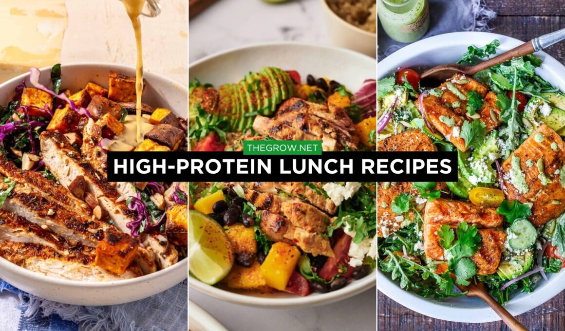 High-Protein Lunch Recipes