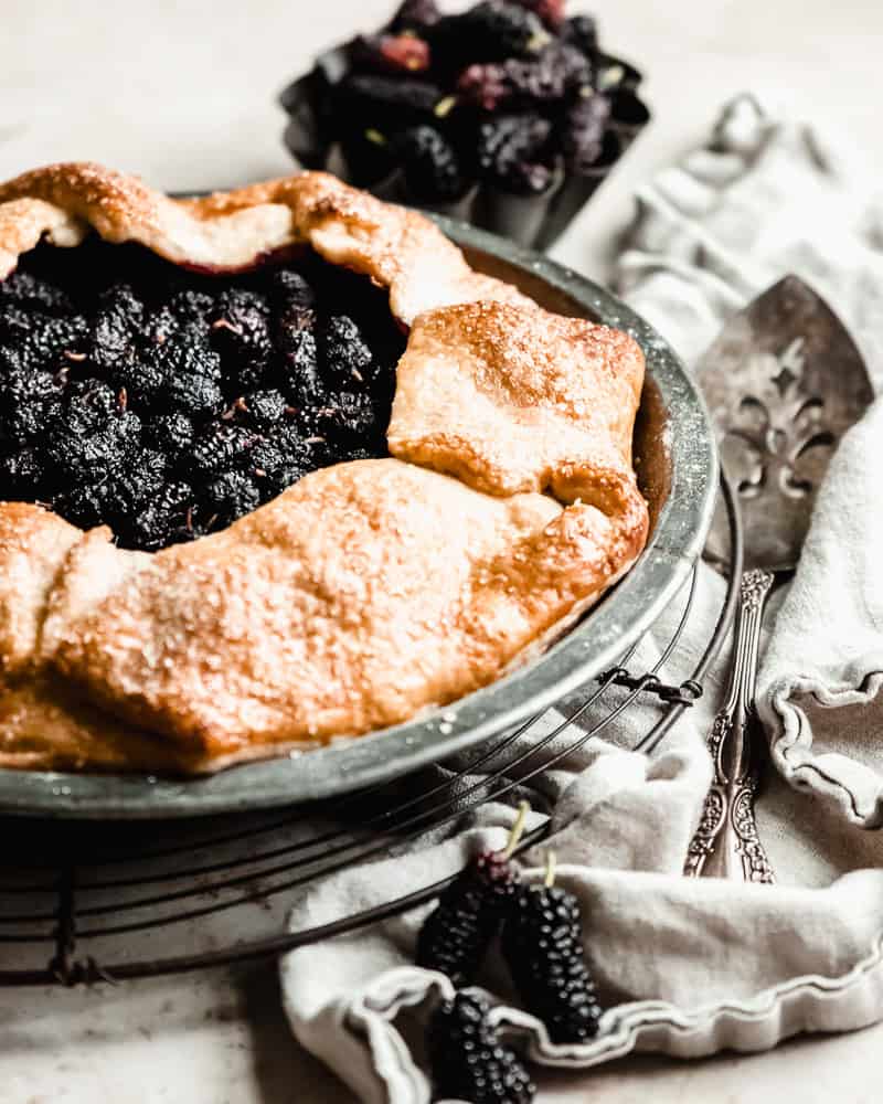 Mulberry Pie