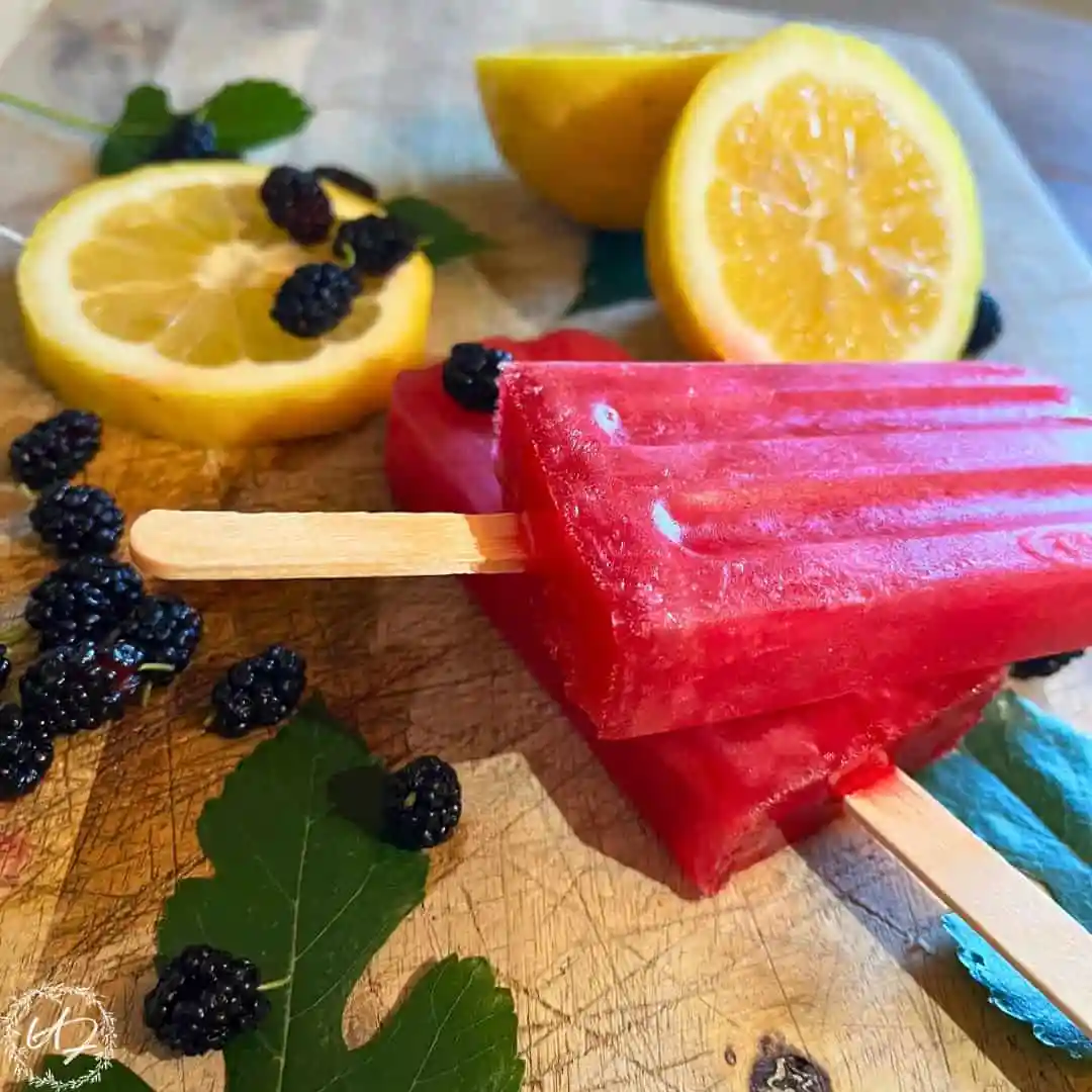 Mulberry Popsicles