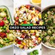 Orzo Salad Recipes