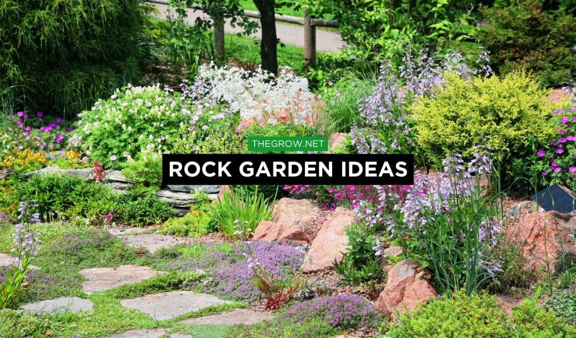 Rock Garden Ideas