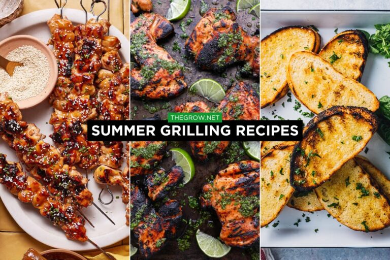 Summer grilling Recipes