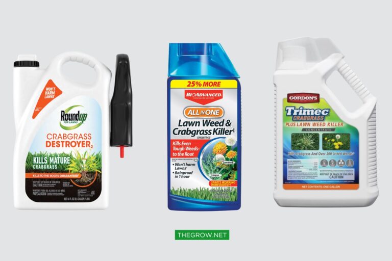 The Best Crabgrass Killer for Summer