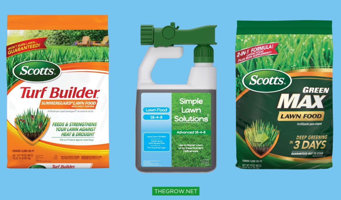 The Best Lawn Fertilizers for Summer