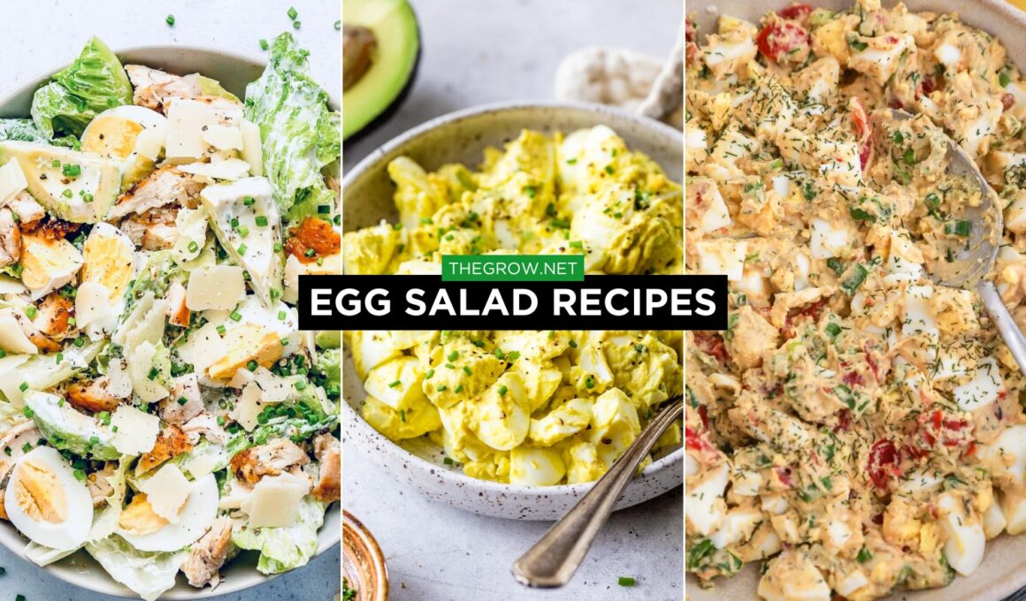 egg salad recipes
