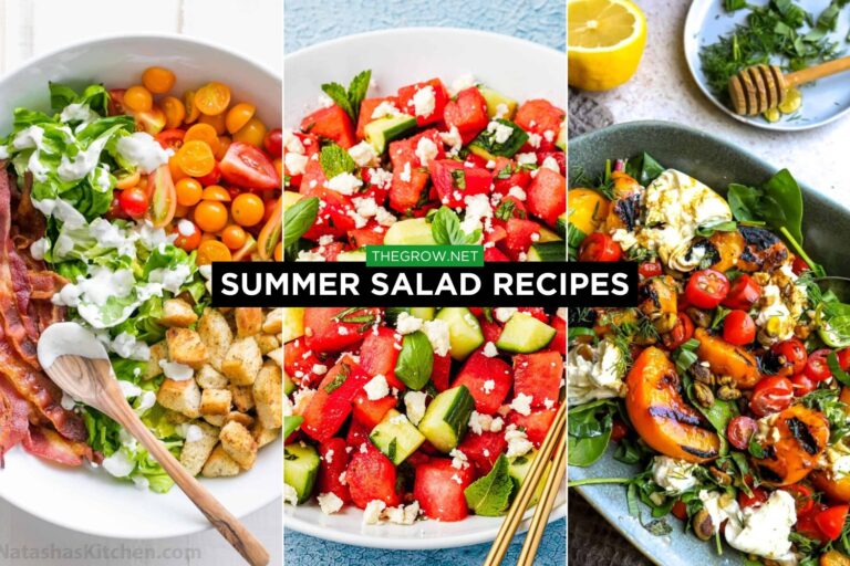 summer salad recipes
