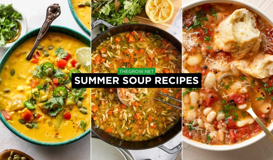 summer soup recipes