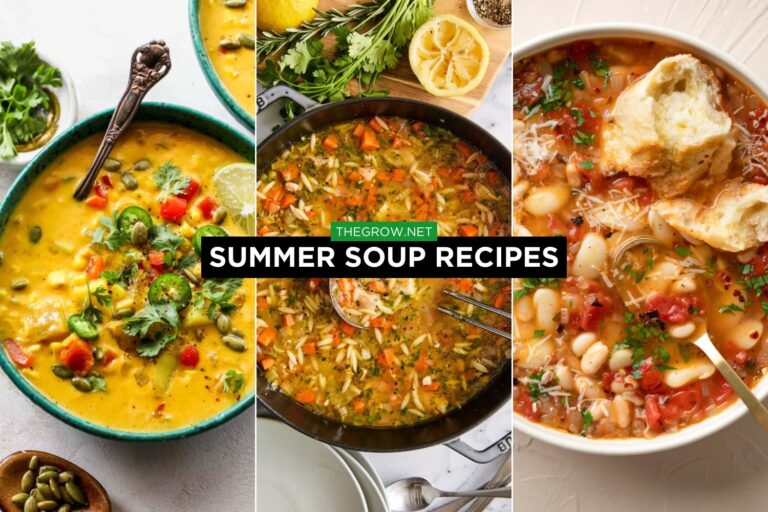 summer soup recipes