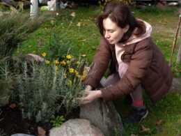 Young woman caring for flowers in flower bed