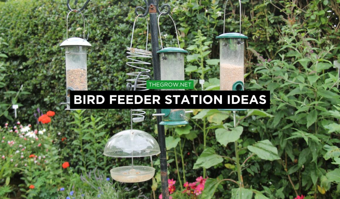 18 Bird Feeder Station Ideas That Attract More Birds