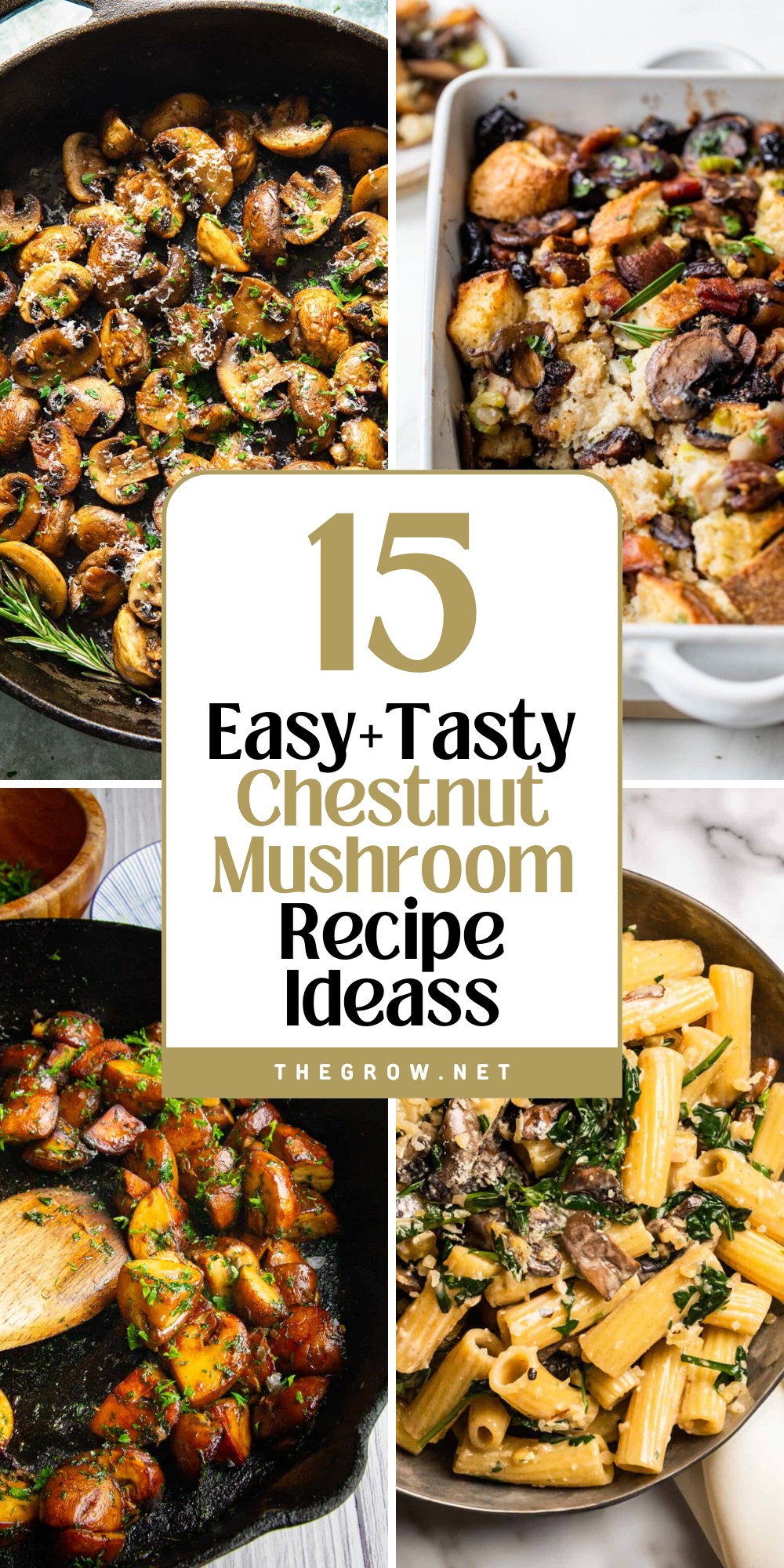 Best Chestnut Mushroom Recipe Ideas-pin
