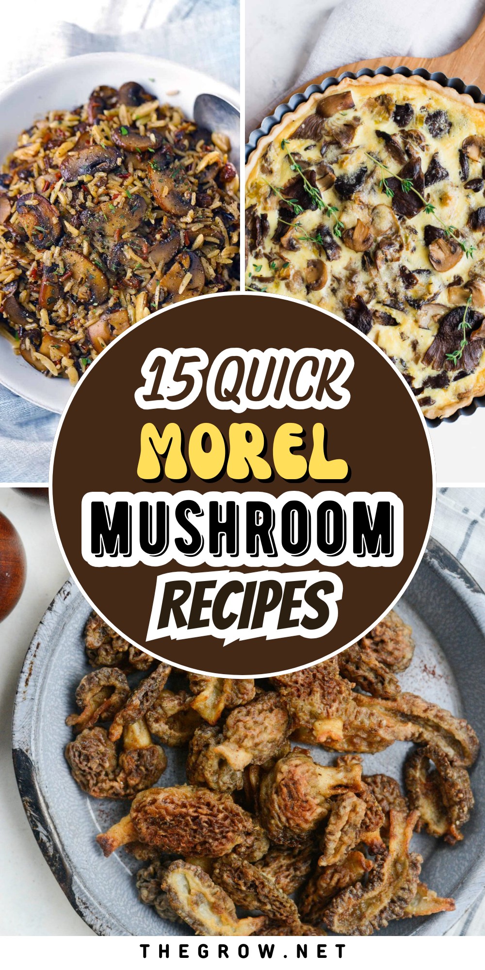 Best Morel Mushroom Recipes-pin