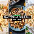 Chanterelle Mushroom recipes