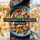Chanterelle Mushroom recipes