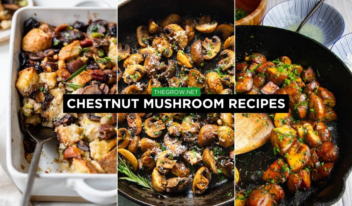 Chestnut Mushroom Recipes