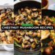 Chestnut Mushroom Recipes