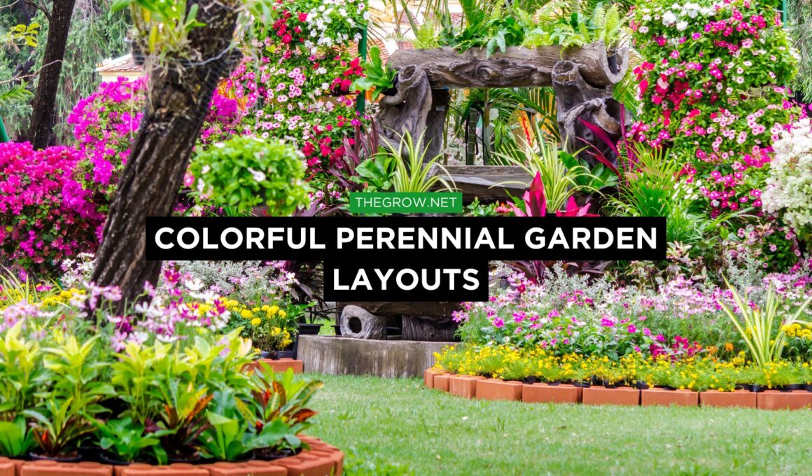 Colorful Perennial Garden Layouts