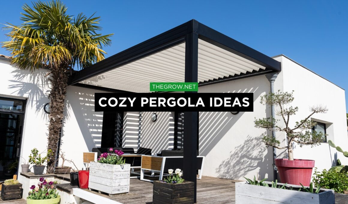 Cozy Pergola Ideas