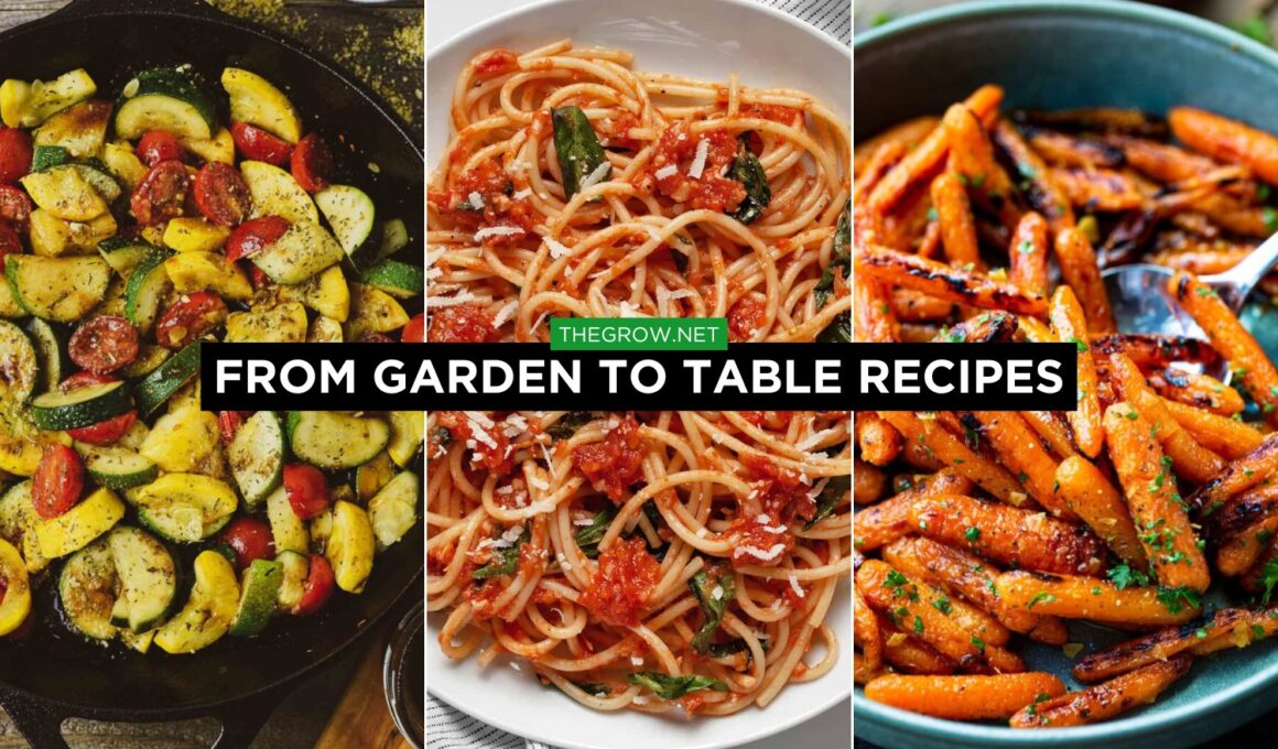 From Garden to Table Recipes