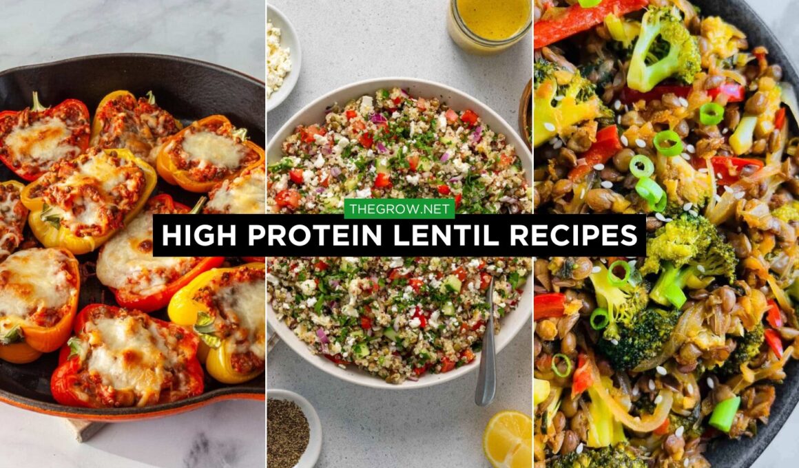 High Protein Lentil Recipes