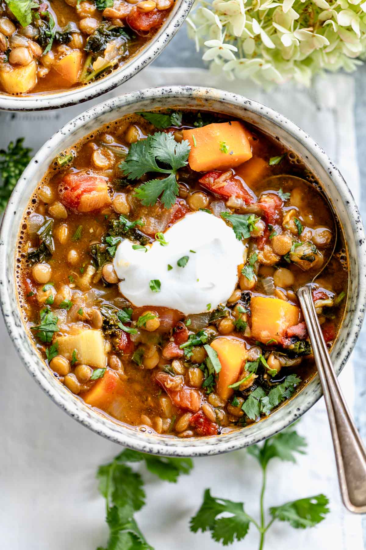Lentil and Veggie Soup