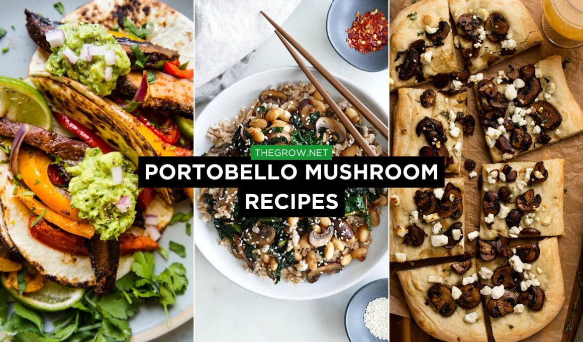 Portobello Mushroom Recipes