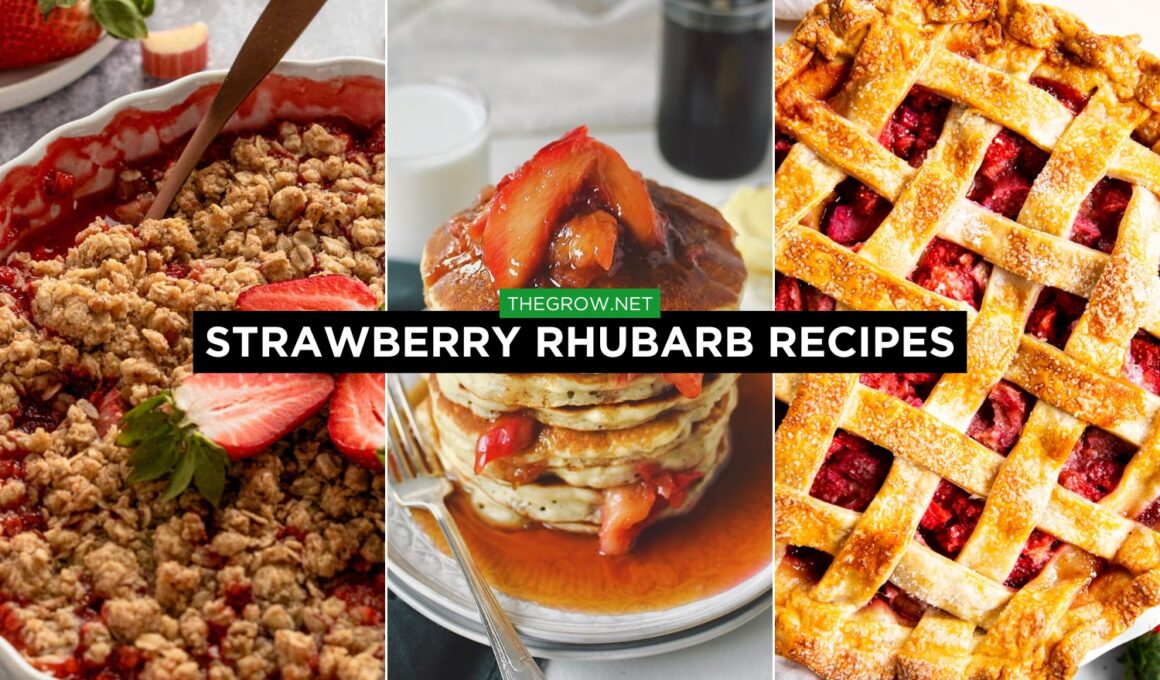 Strawberry Rhubarb Recipes