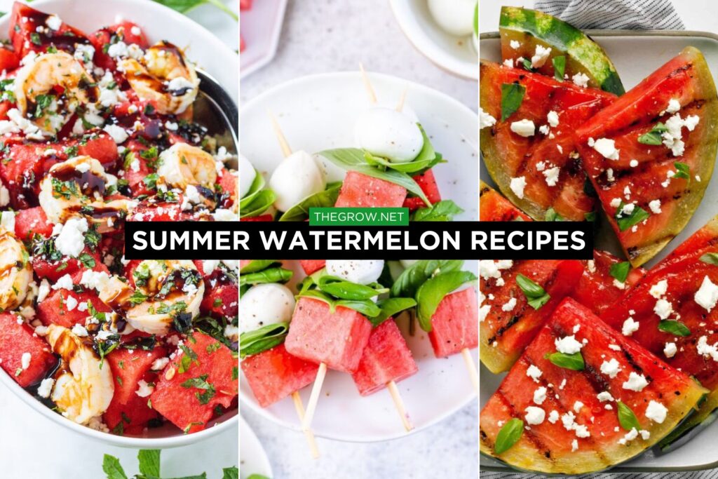 Summer Watermelon Recipes