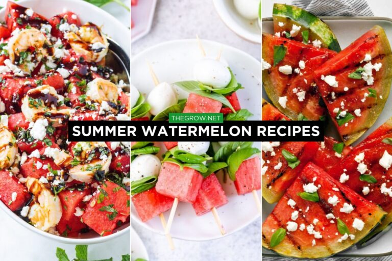 Summer Watermelon Recipes