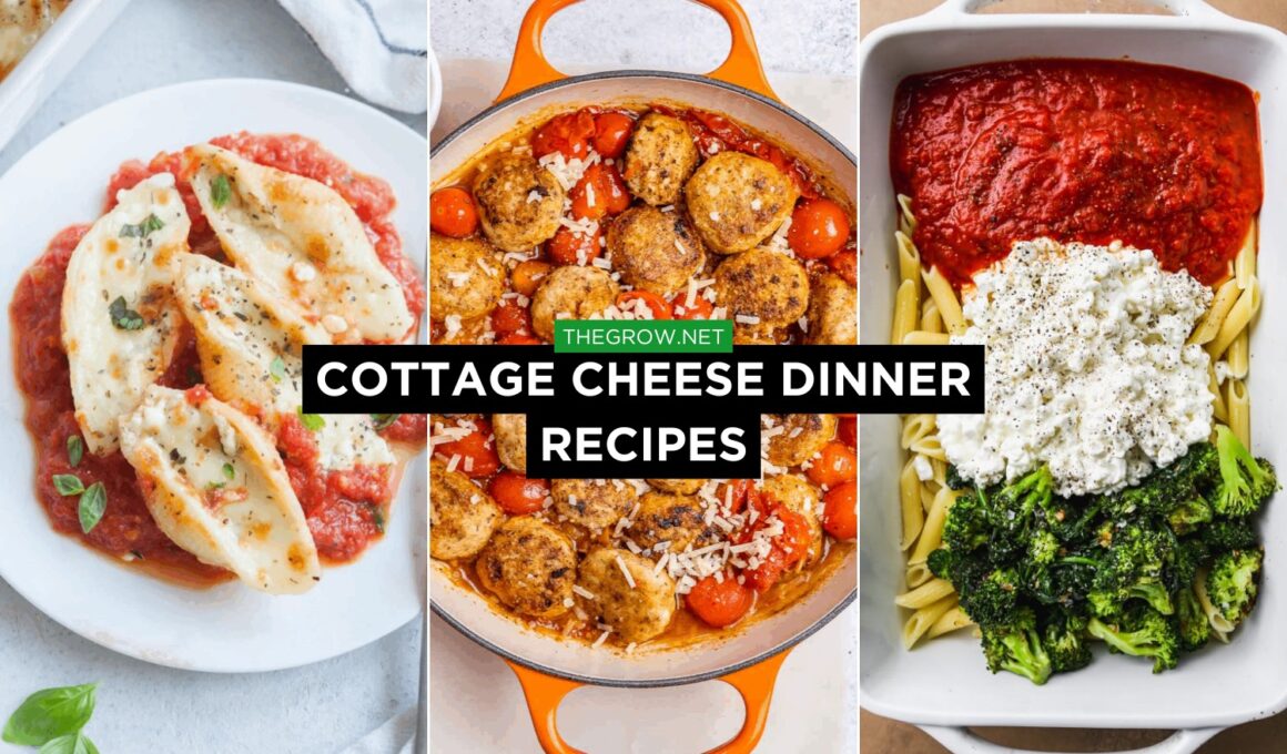 Cottage Cheese Dinner Recipes