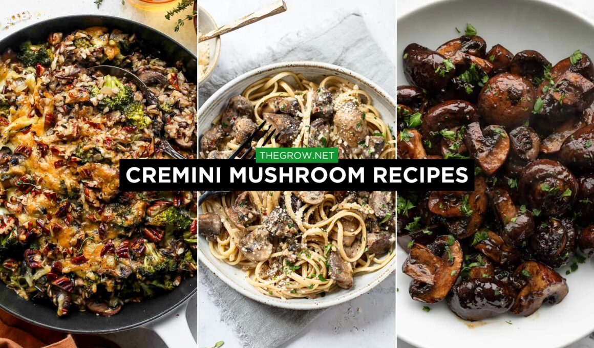 cremini mushroom Recipes