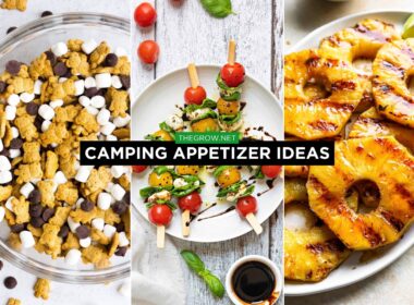 appetizers camping