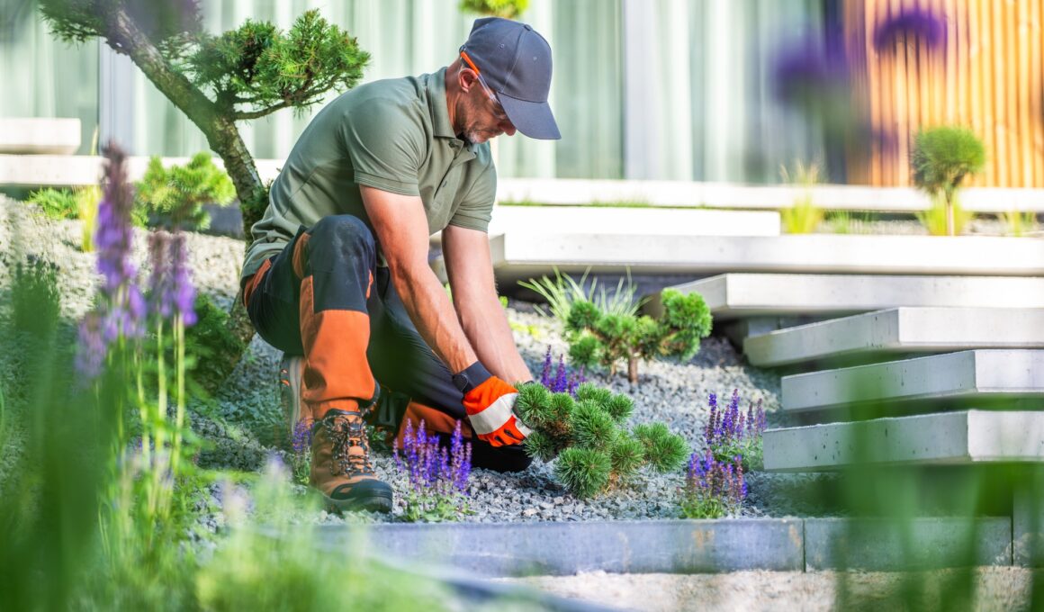Gardener Tending to Plants in Modern Landscape Design During Daytime
