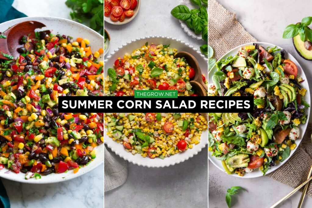 summer corn salad recipes