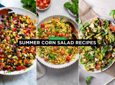 summer corn salad recipes