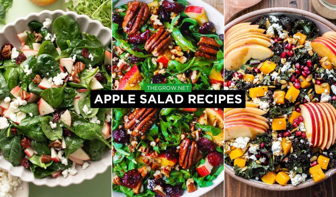 Apple Salad Recipes