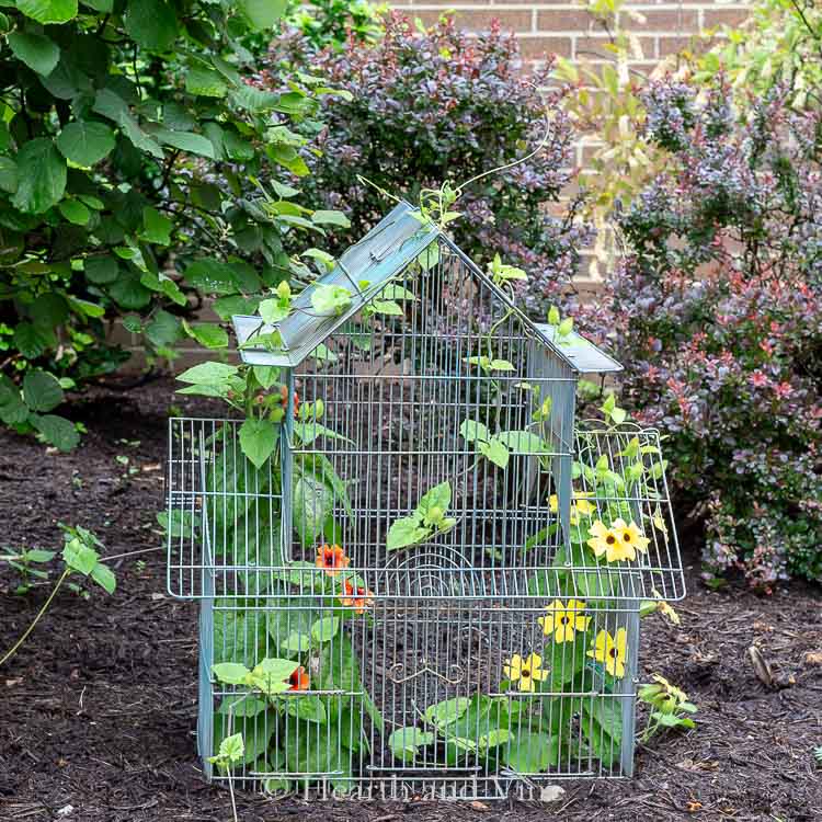 Birdcage Flower Planter