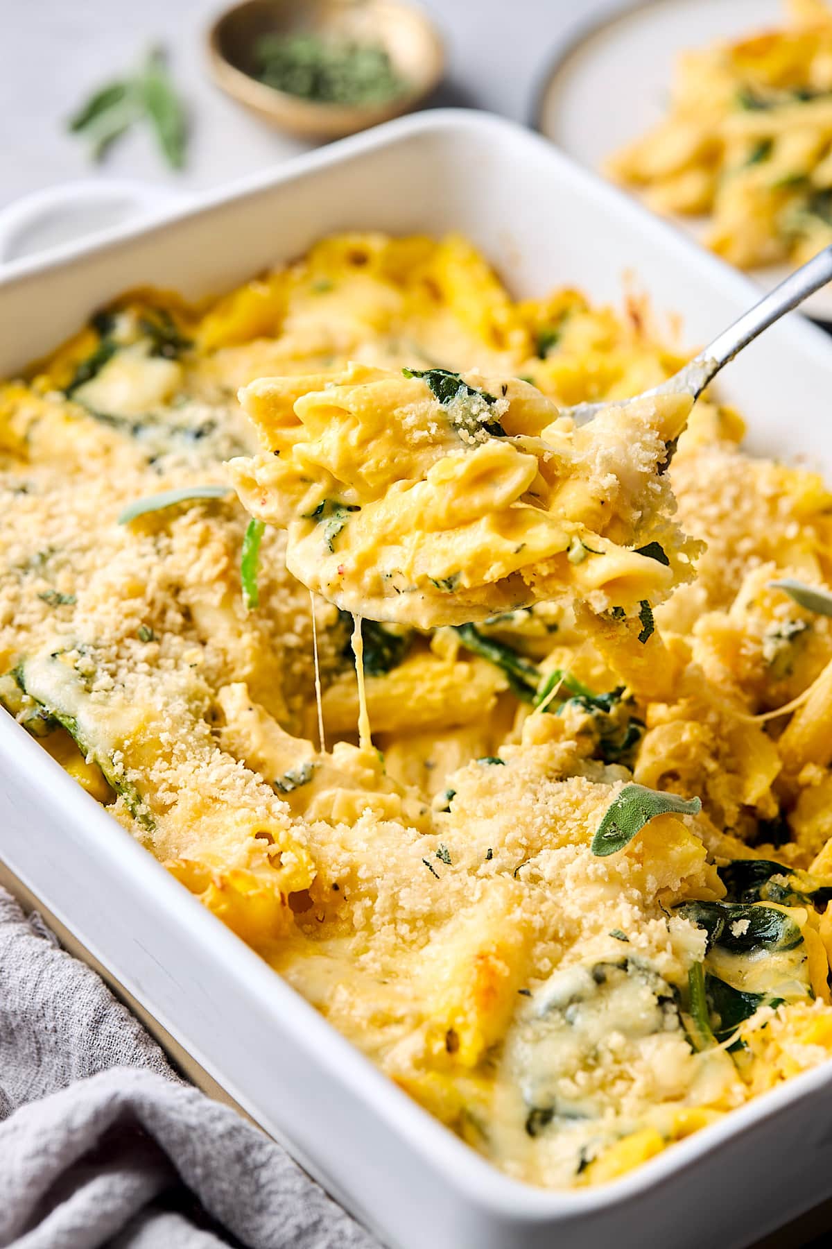 Butternut Squash Pasta Bake