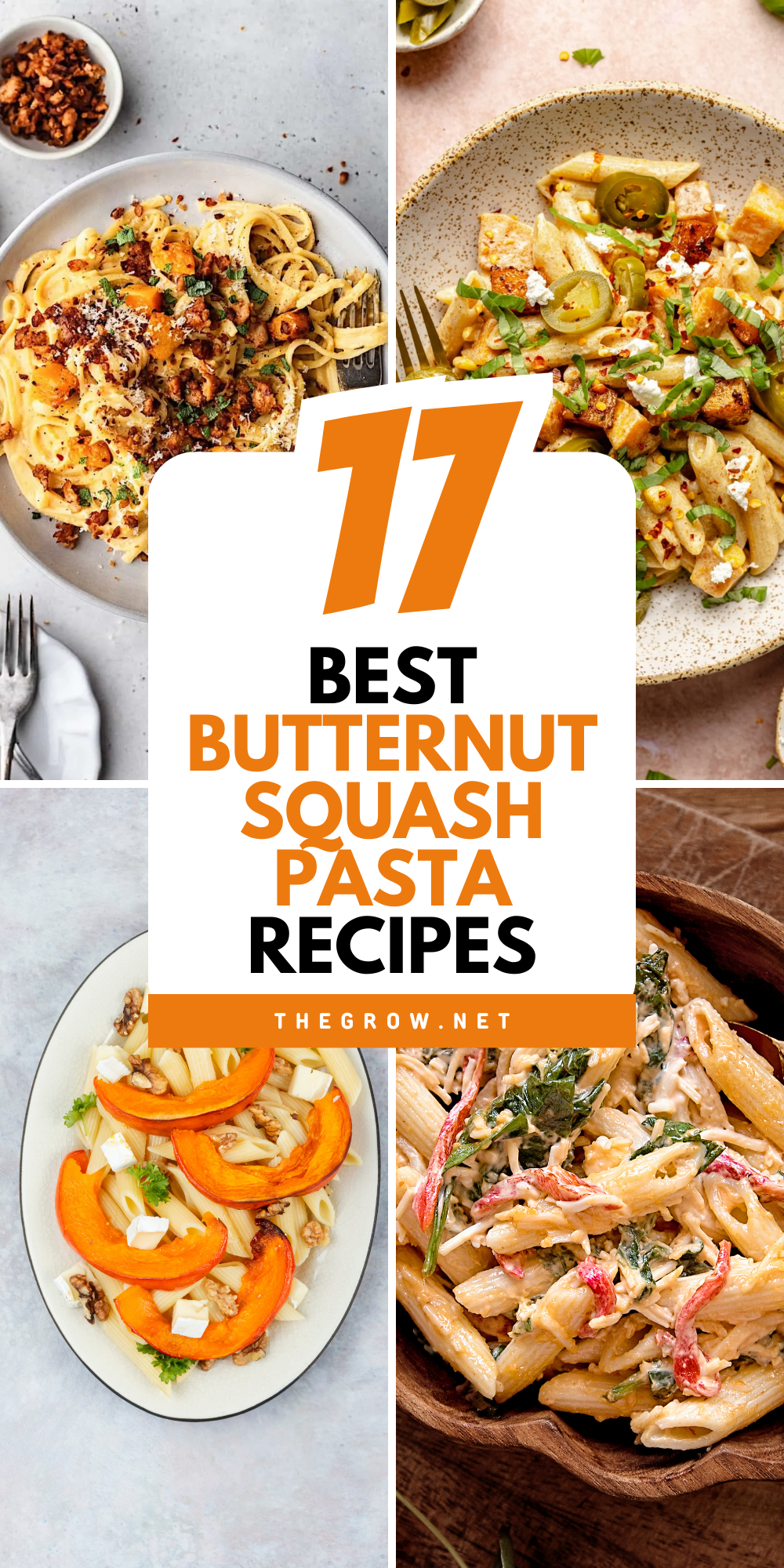 Butternut Squash Pasta Recipes-pin
