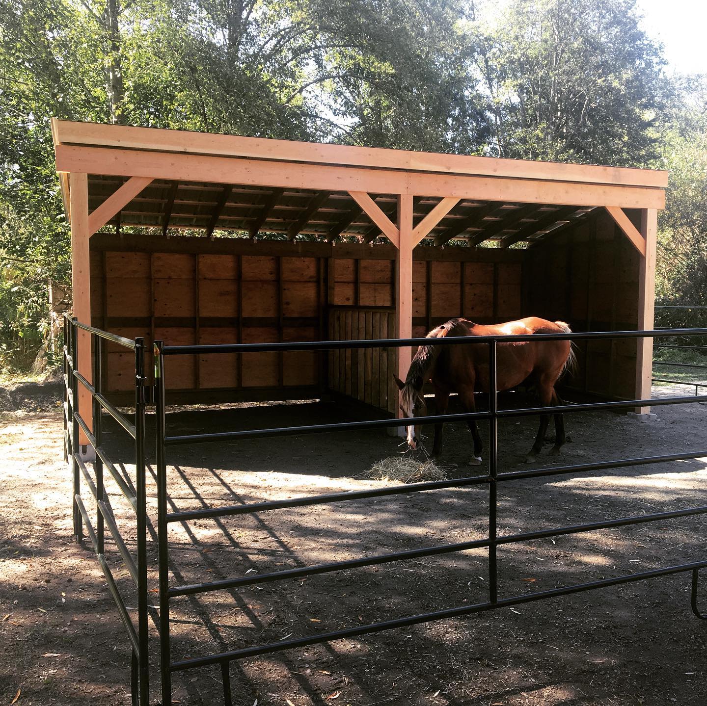 Custom-built run-in shed