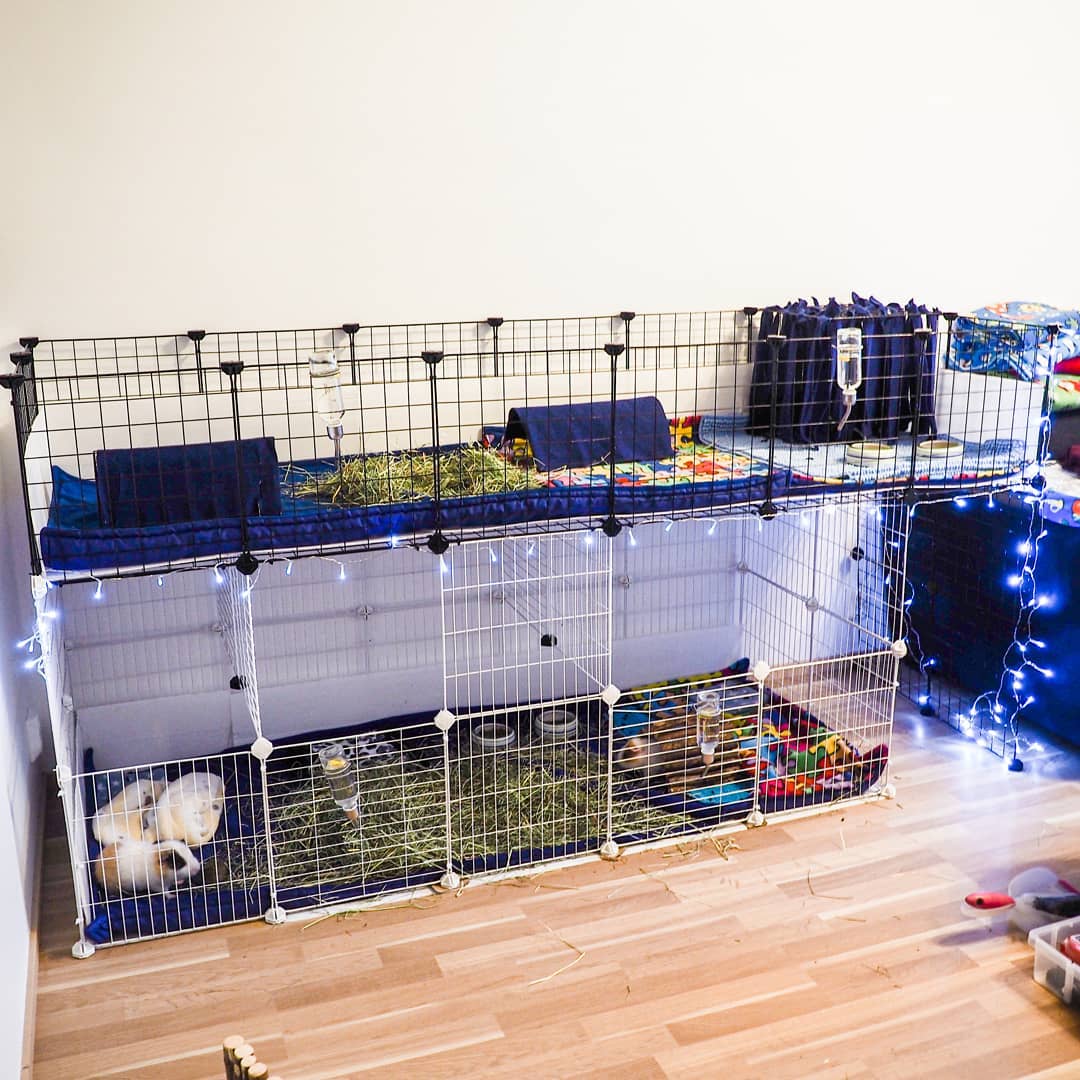 DIY standard stacked cage