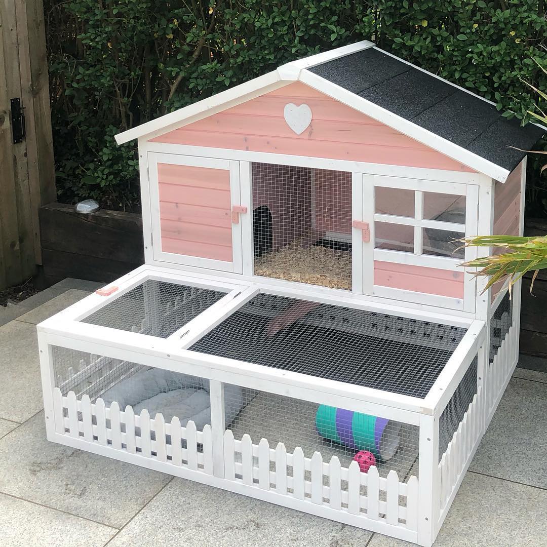 Guinea pig hutch with two storeys
