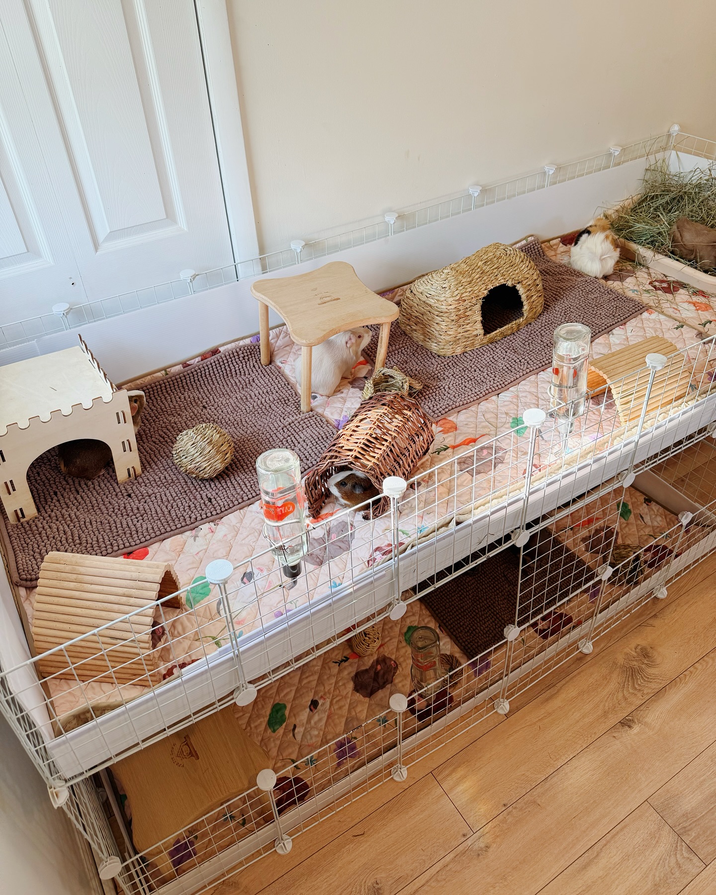 Modula C&C cage with grids