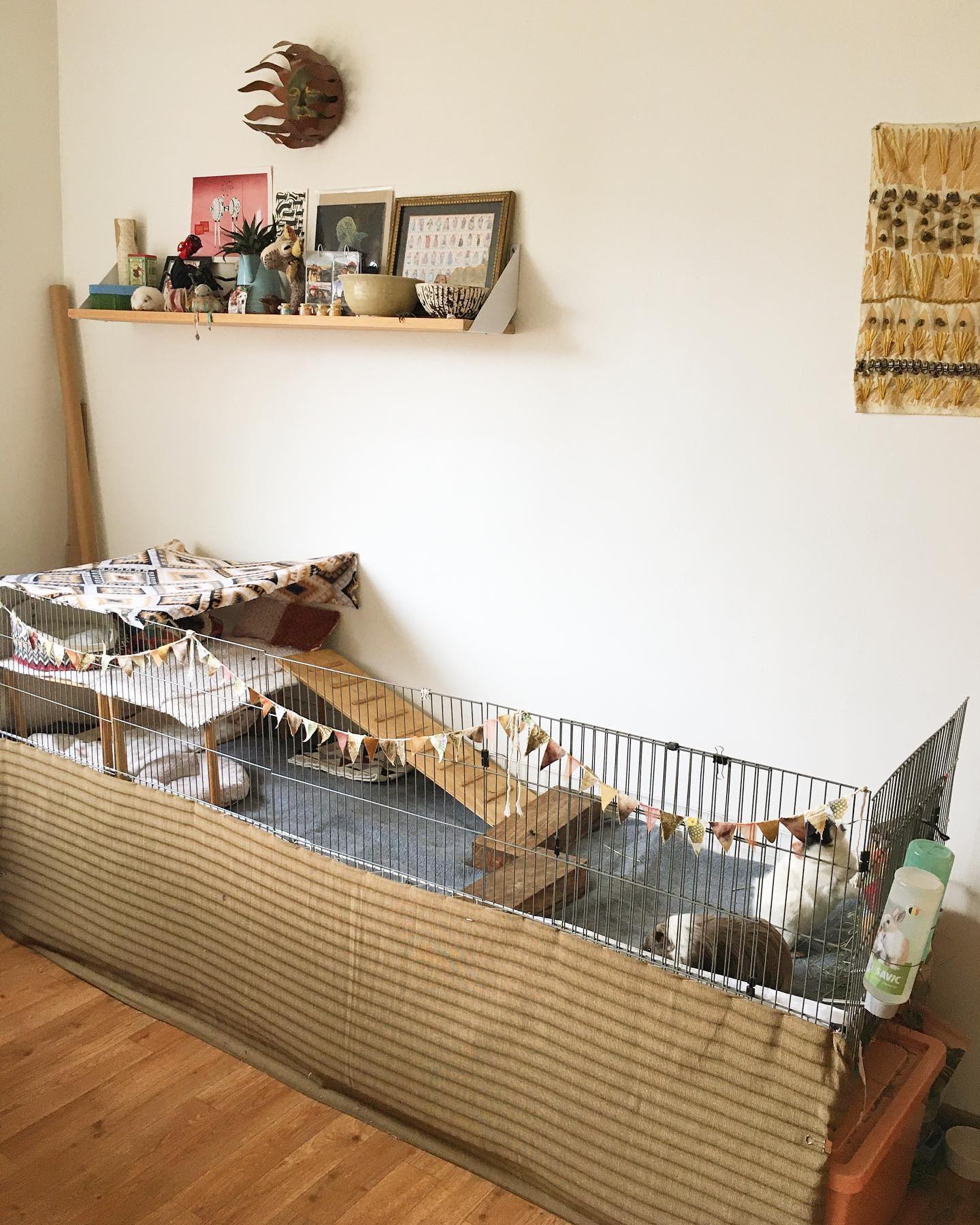 Raised grid cage with recycled wood