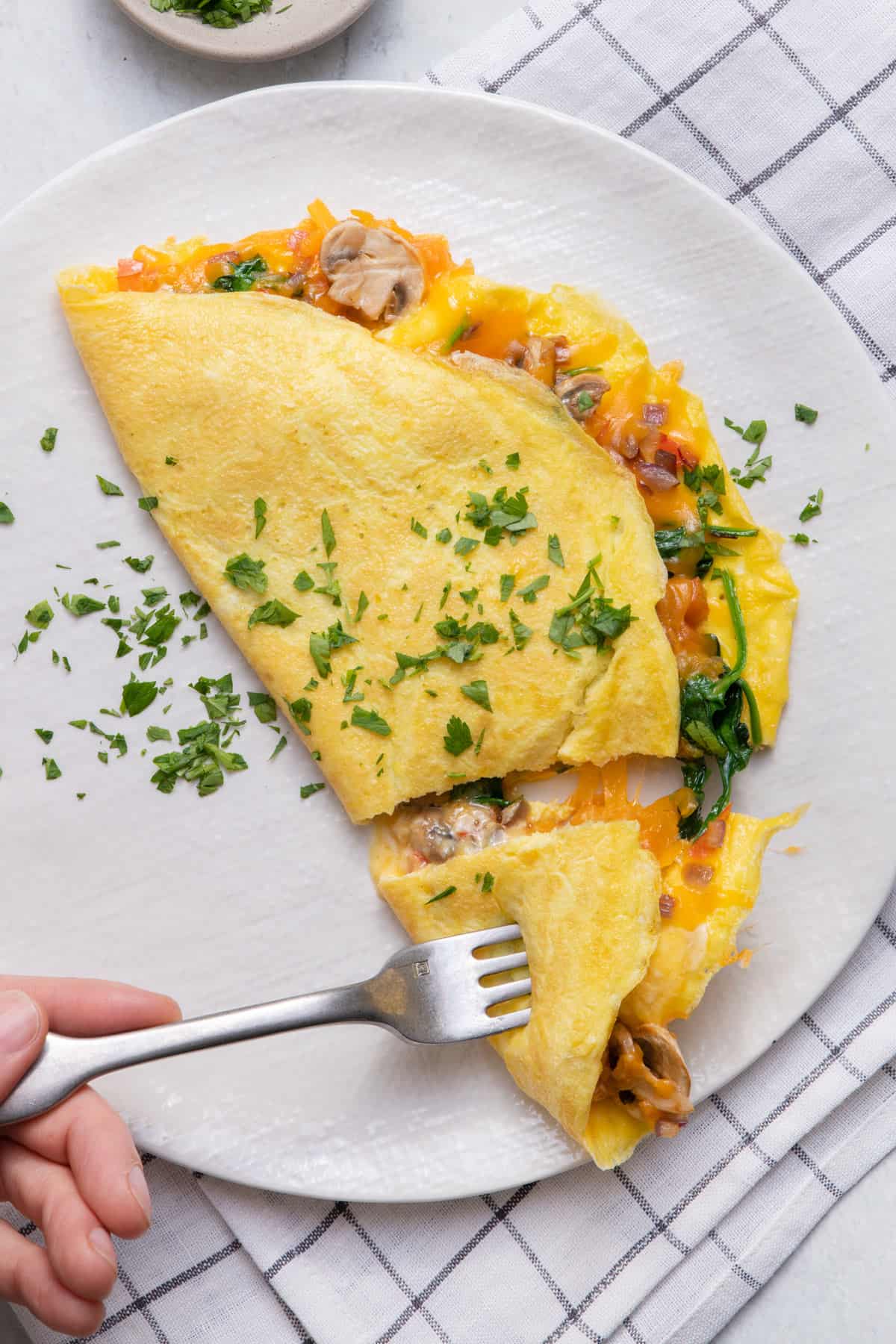 Savory Omelet with Veggies & Cheese