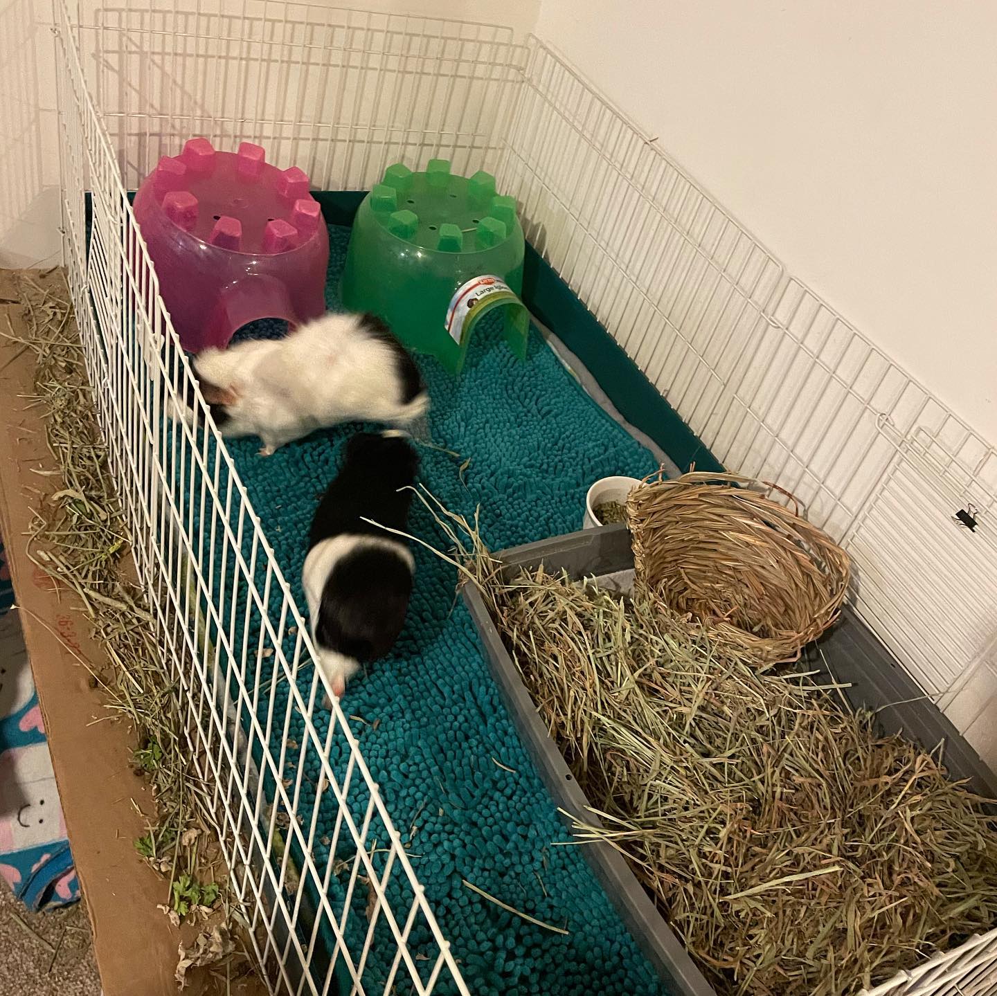 Wire Grid cubes with bath mat