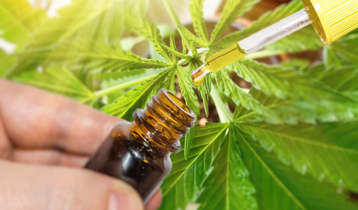 Cbd oil against marijuana plant